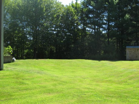 2013summergardenlawn2