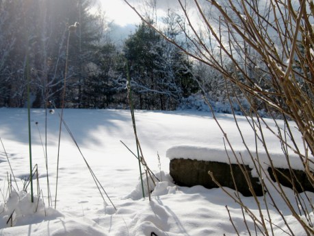 ???????????????????????????????