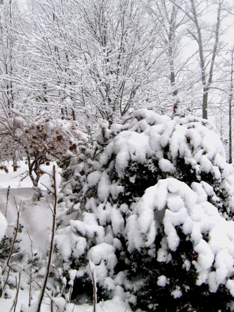 ???????????????????????????????