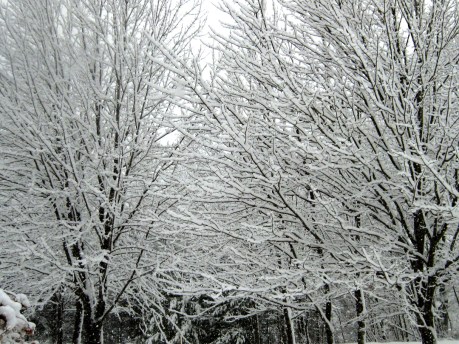 ???????????????????????????????