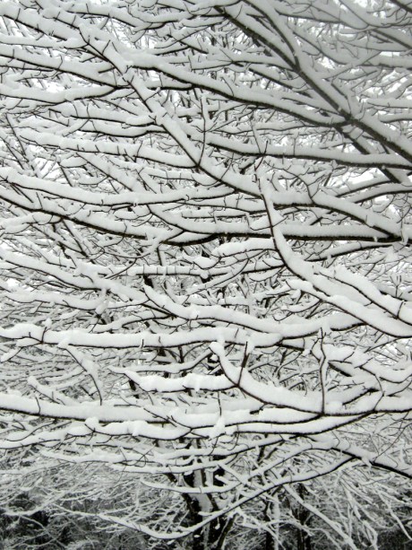 ???????????????????????????????