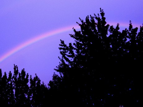 nhskyrainbow