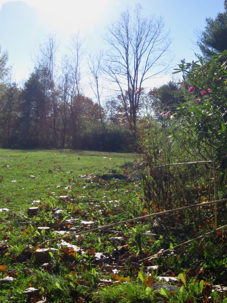 ???????????????????????????????