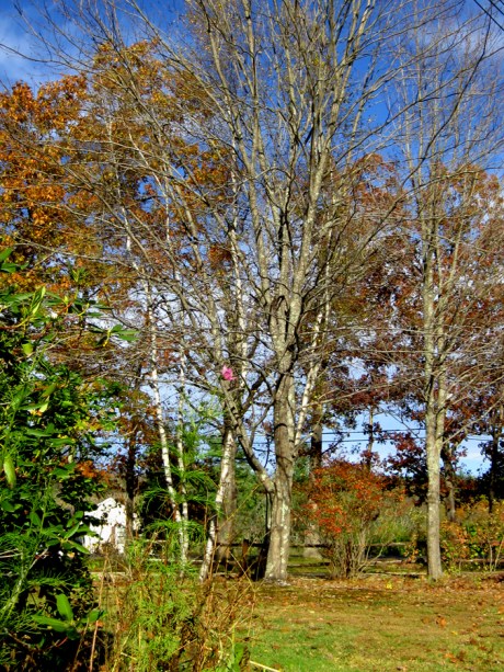 ???????????????????????????????