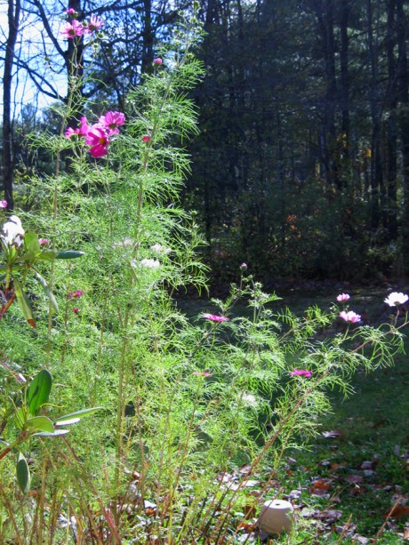 ???????????????????????????????