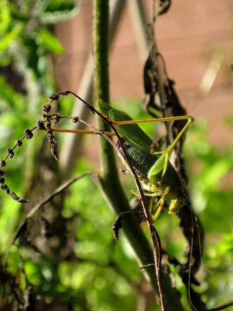 ???????????????????????????????