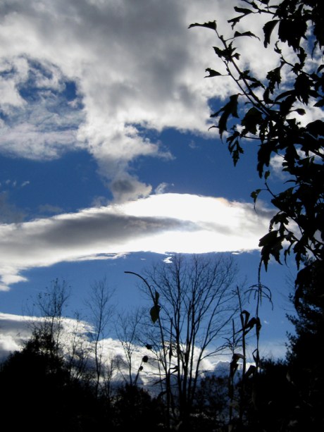 ???????????????????????????????