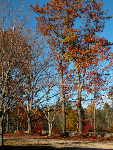 ???????????????????????????????