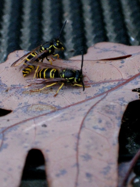 ???????????????????????????????