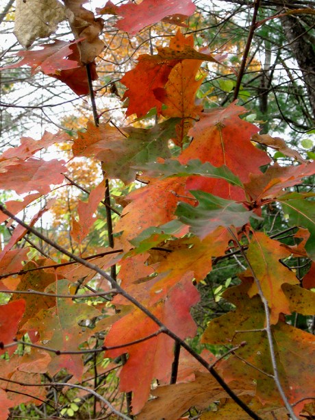 ???????????????????????????????