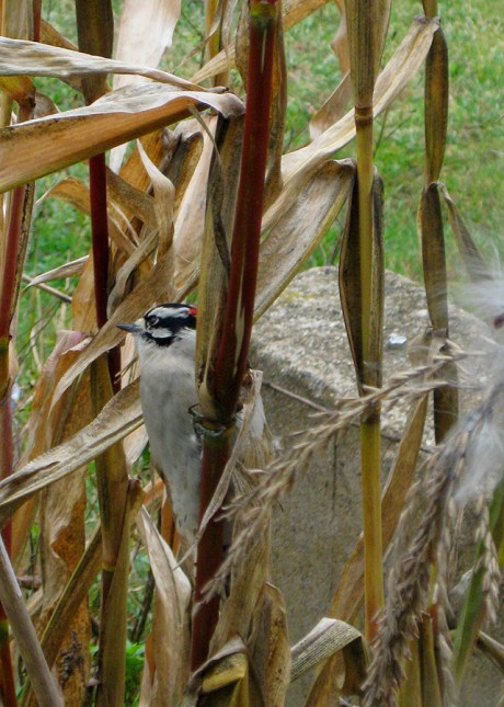 ???????????????????????????????