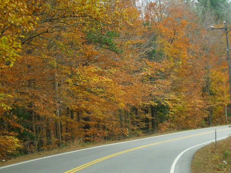 autumnroad1