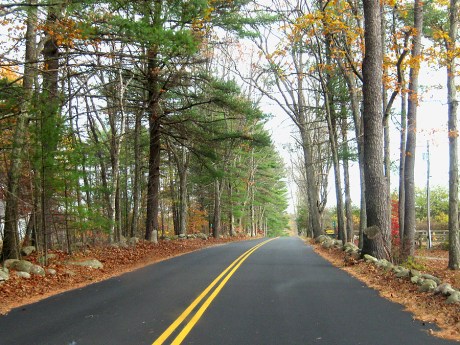autumnroad2