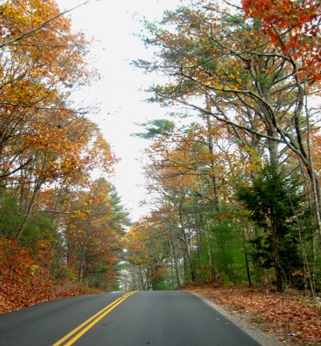 ???????????????????????????????