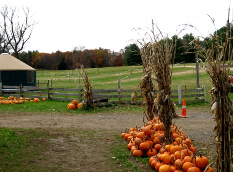 autumnroadfarm11