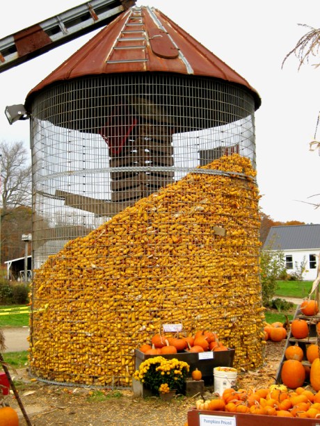 ???????????????????????????????