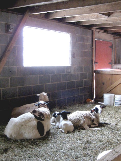 ???????????????????????????????