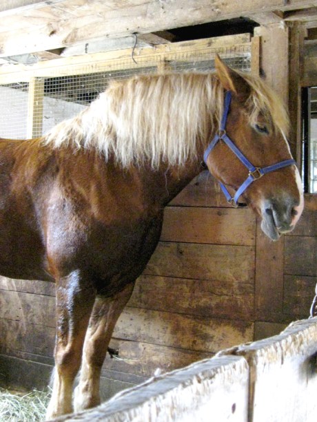 ???????????????????????????????