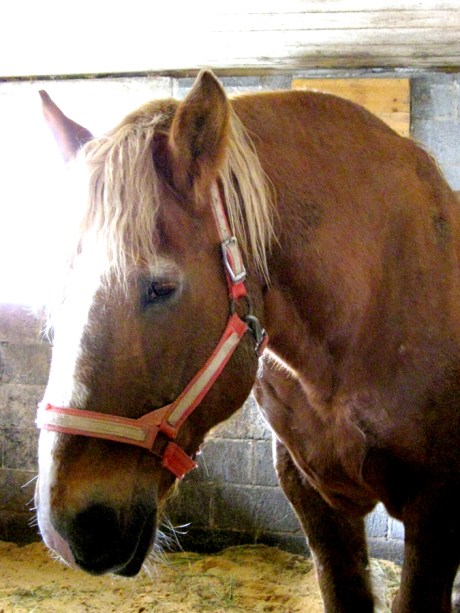 ???????????????????????????????