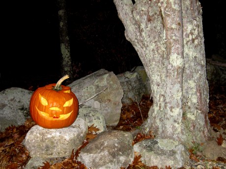 autumnroadjackolanter