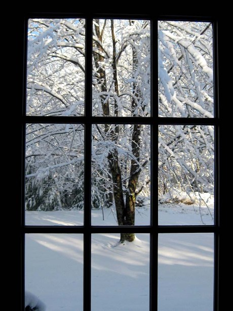 ???????????????????????????????