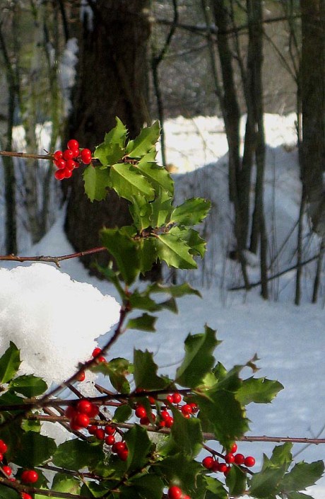 ???????????????????????????????