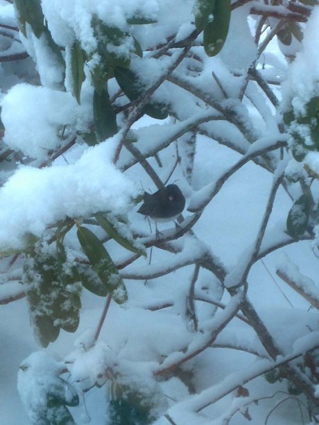 ???????????????????????????????