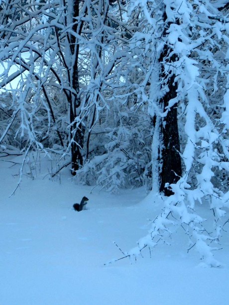 ???????????????????????????????