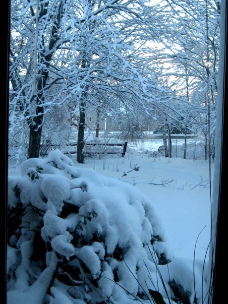 ???????????????????????????????