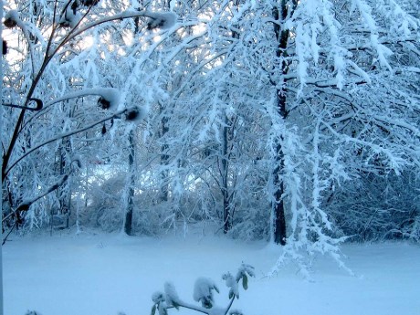 2014winterstormwindow1