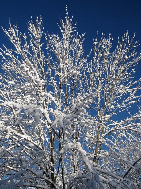 ???????????????????????????????