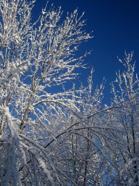 ???????????????????????????????