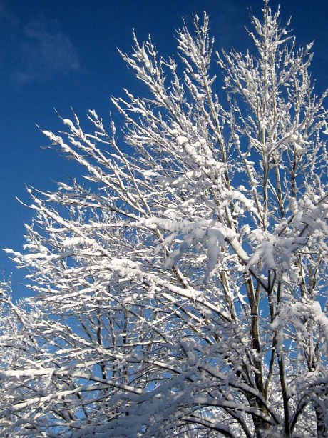 ???????????????????????????????