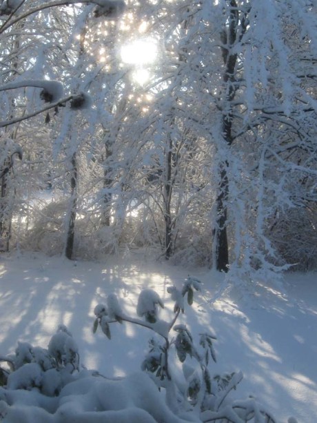 ???????????????????????????????