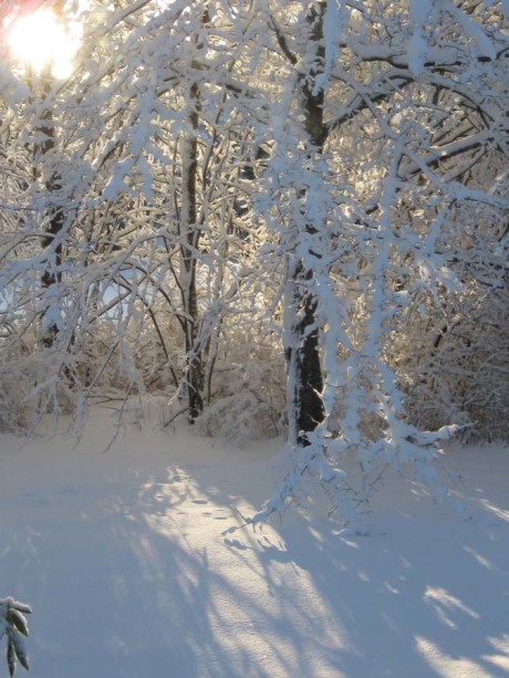 ???????????????????????????????