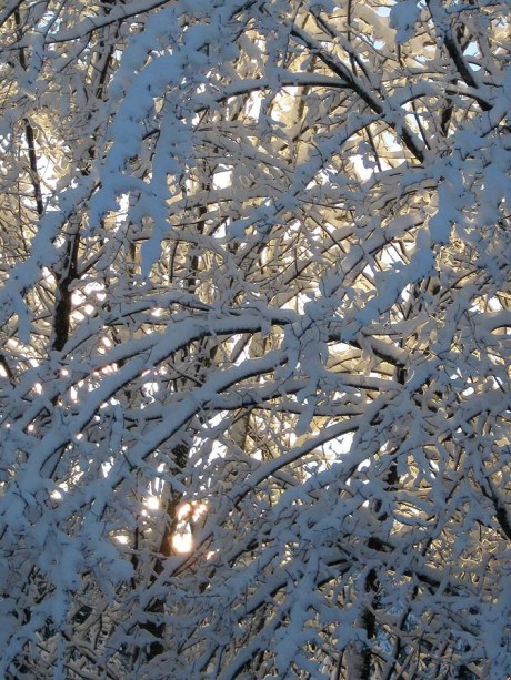 ???????????????????????????????