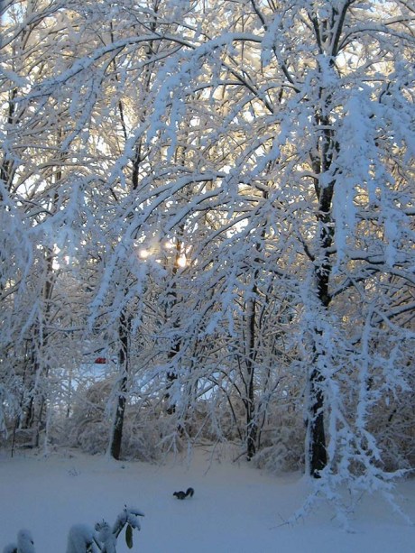 ???????????????????????????????