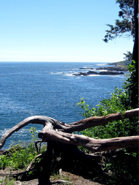 2015ogunquitocean12a