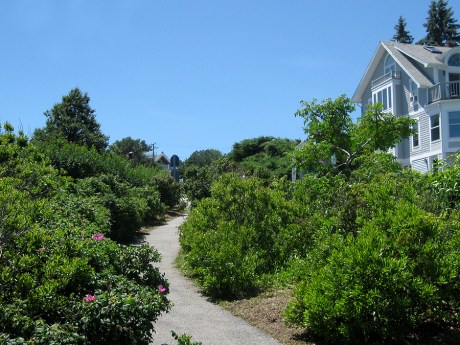 2015ogunquitpath1