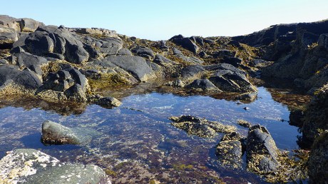 tidepools10