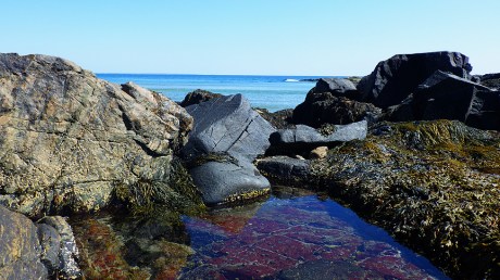 tidepools31