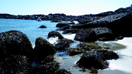 tidepools36