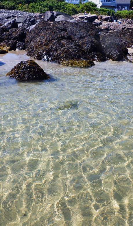 tidepoolsII5