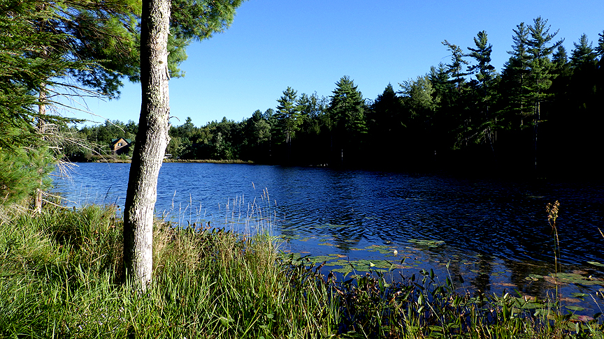 woodpathpond15
