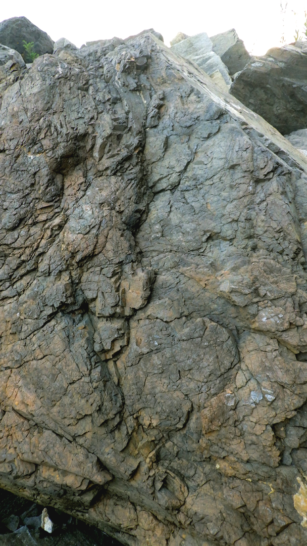 2016nhtidepoolrock1