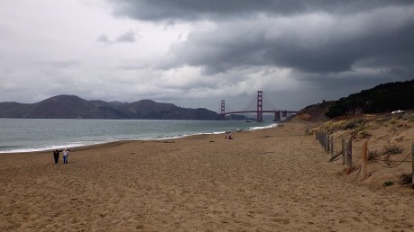 dogsofsanfrancisco26