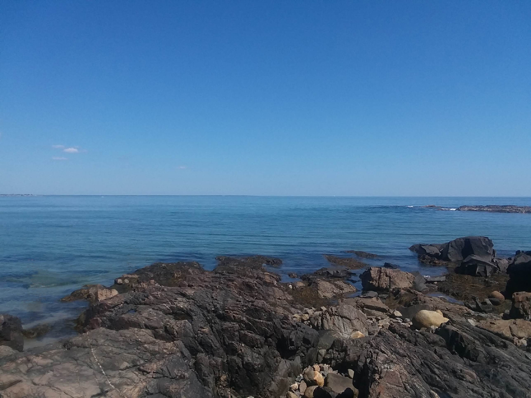 blue and blue isreal head