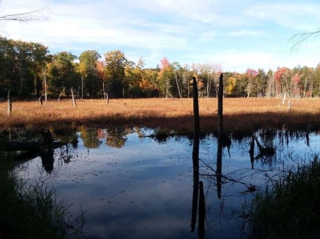 img_20191019_221228_078-2