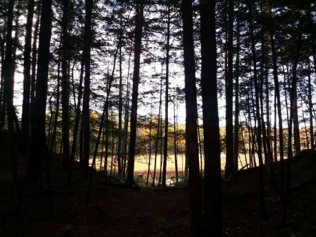 img_20191019_221228_080-2