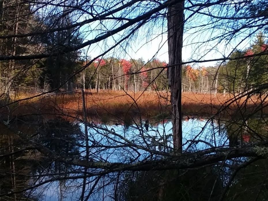 img_20191019_221228_127-2